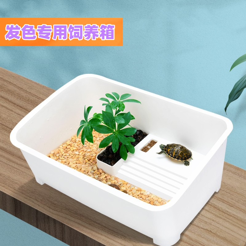 乌龟专用缸带晒台促发色大小型塑料盆养龟的水陆造景生态饲养池