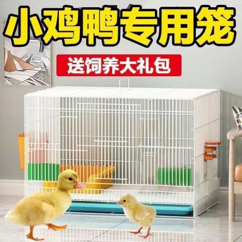 鸡笼芦丁鸡专用笼小鸡笼雏鸡家用笼子加密鸭笼加密宠物笼鹌鹑厂家