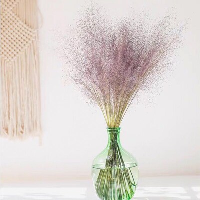 粉黛乱子草鲜花云南直发室内装饰干花inMs风场景布置插花鲜切花