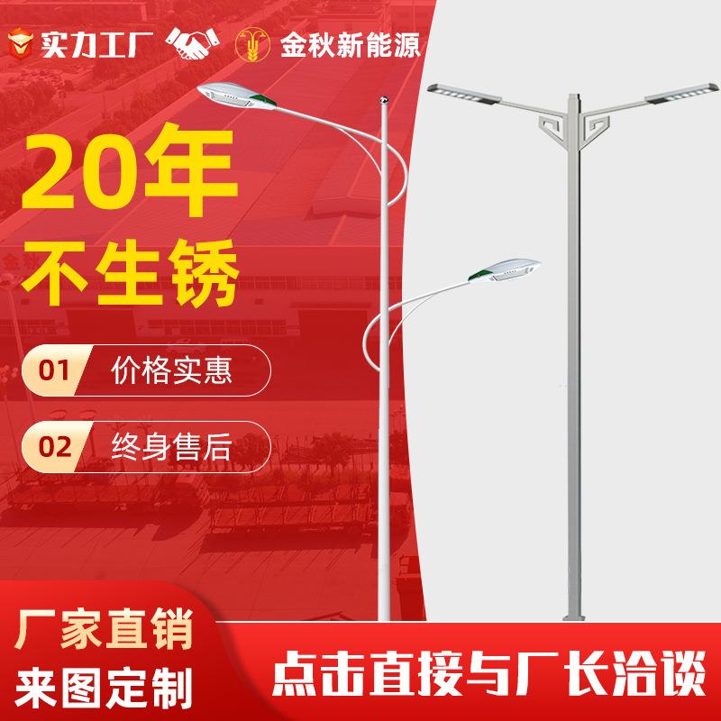 市政工程路灯制造专家6米8米路灯户外杆单臂双臂路灯一体杆热镀锌