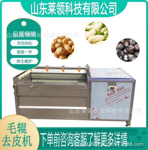 地栗毛辊清洗机全自动节水根茎类毛辊去皮机洋芋清洗去皮一体机