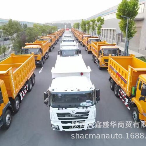 陕汽全球出口F30006X4380马力欧二