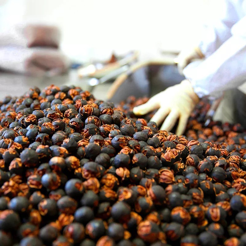 2025新货特好剥好好剥特大黑珍珠仁炭烧原味临安手剥水煮小山核桃