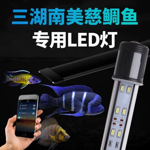 幽影三湖慈鲷专用鱼缸灯潜水双冷白蓝白引色萨伊南美增艳发色雷龙