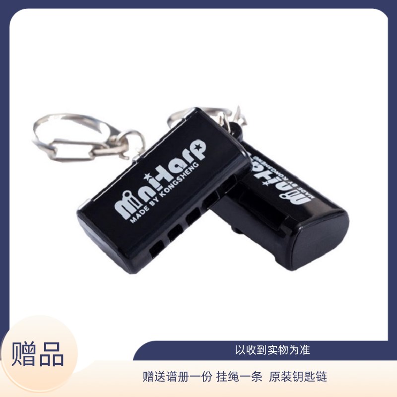 笨笨口琴 推荐五孔10音高级迷你口琴成人初学入门练习专业包邮