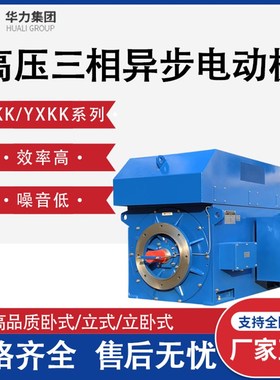 山东华力电机YKK YXKK系列高压电机电变频调速三相异步节能电动机