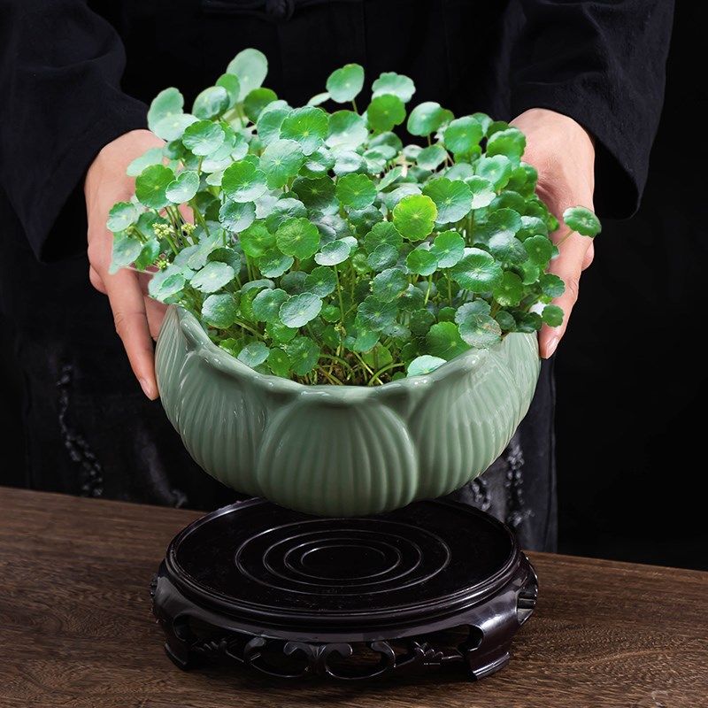 铜钱草水培花盆复古创意陶瓷家用大口径水养植物盆缸家居客厅摆件图片