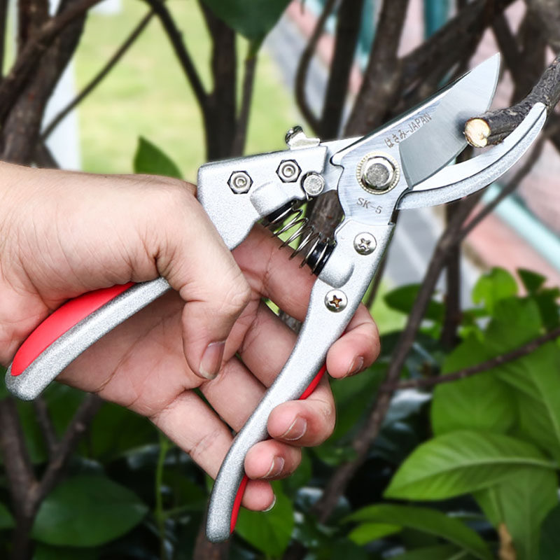 不锈钢果树修枝剪刀树枝剪花卉园林修花剪家用省力粗枝剪花艺剪刀
