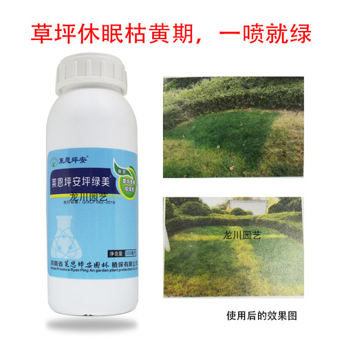 专用草坪增绿剂 坪安坪绿美 草坪变绿剂发黄休眠一喷绿快速着色剂
