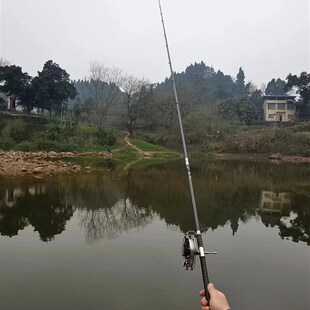 2024年新品盘车溪流冲钓竿3.9米短节碳素钓鱼杆超轻硬手感好