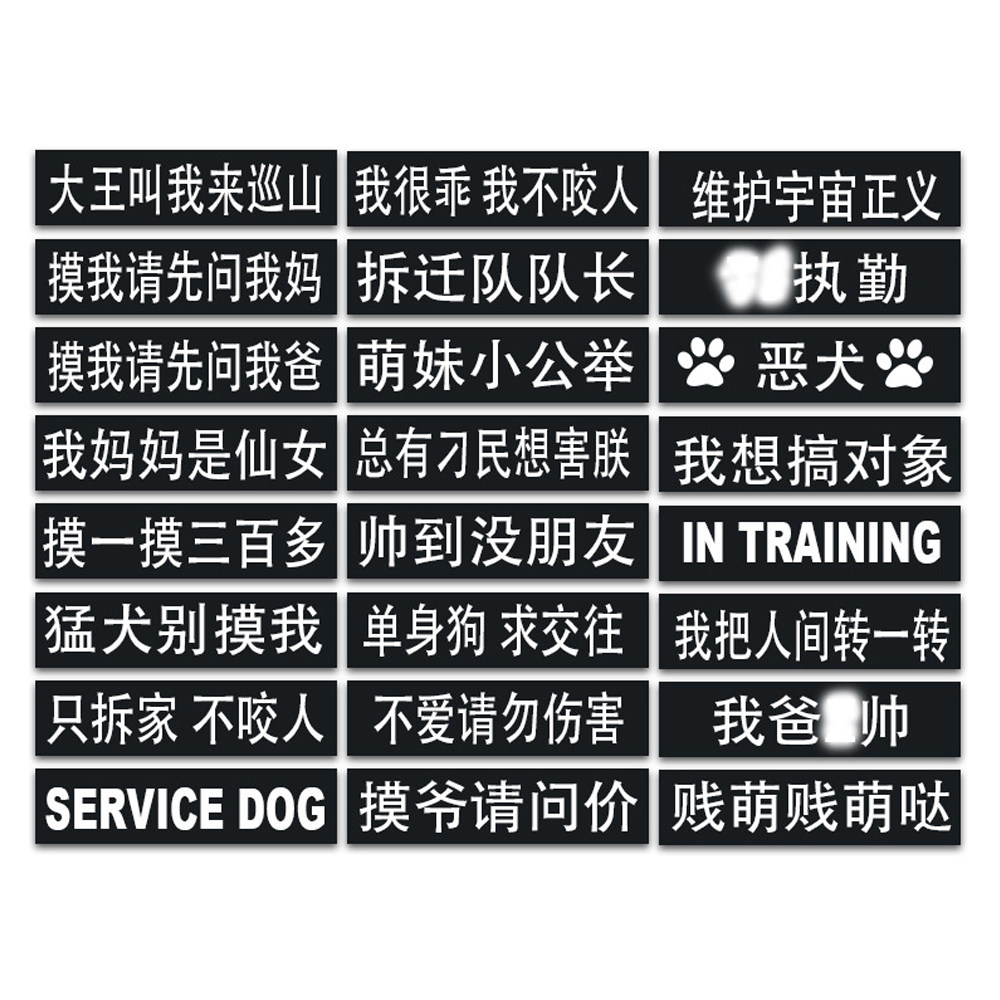 定制狗狗胸背带魔术贴一对2个图片