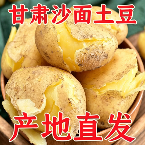 【黄皮黄心】2026年定西土豆现挖应季新鲜甘肃沙面马铃薯洋芋蔬菜