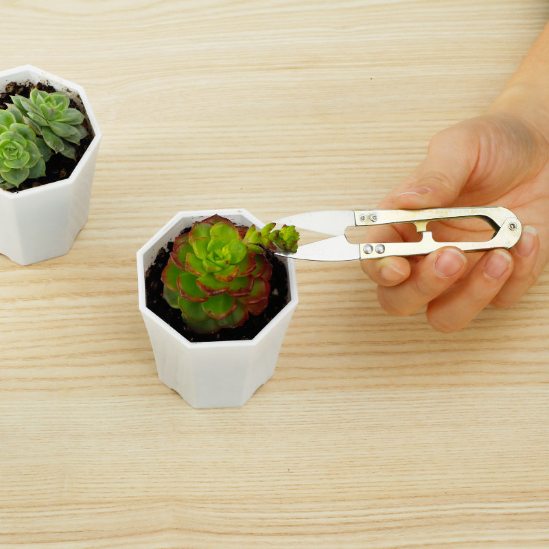 汉轩 多肉花卉剪刀小剪子园艺工具多肉修根植物修枝修叶小型剪刀