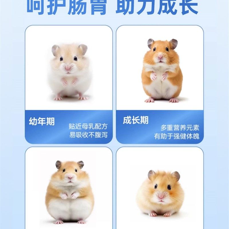 小宠物仓鼠羊奶粉专用补钙金丝熊零食幼崽宝宝月子粮食怀孕花枝鼠