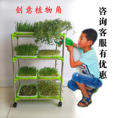 幼儿园区角布置自然角神器植物角装饰种植区材料环创植物摆件表演
