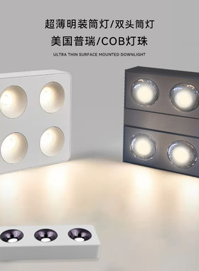 双头超薄射灯吸顶式三头斗胆灯明装筒灯防眩极简设计师无主灯照明