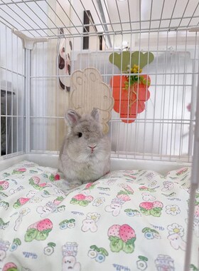 迷宠舍兔兔四季通用防水趴趴垫厚垫子冰垫保暖垫兔笼垫子软垫睡垫
