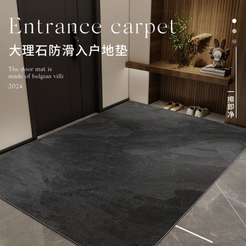 入户门地垫门口进门入门2024新款门外pvc可擦洗玄关高级感脚垫子