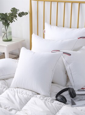 白色全棉多规格抱枕芯30x50/55/65卧室沙发纯棉靠枕芯正方形枕芯