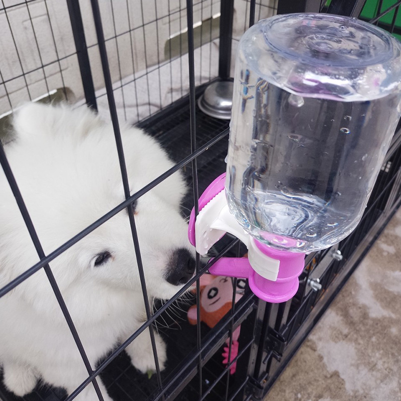狗狗饮水器自动喂水器悬挂式喝水壶不湿嘴大型犬泰迪小猫咪饮水机