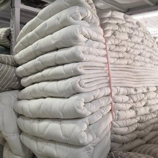 大学生寝室床垫四季通用易折叠宿舍单人加厚垫被软垫榻榻米垫褥