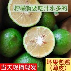重庆万州青柠檬酸水多汁非香水柠檬当季现摘现发奶茶店专用5斤装