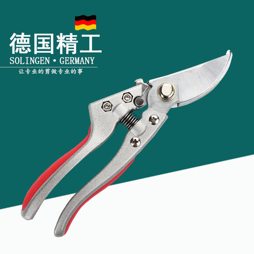 不锈钢果树修枝剪刀树枝剪花卉园林修花剪家用P省力粗枝剪花艺剪