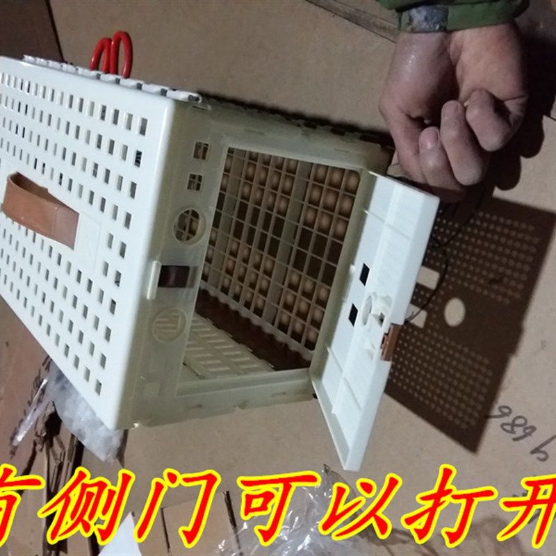 信鸽训放笼/赛鸽折叠塑料笼/信鸽放飞笼/集鸽笼/赛鸽比赛报道笼