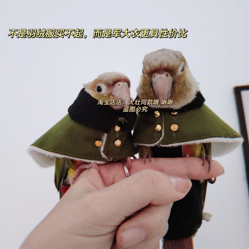 军大衣款鸟衣服鹦鹉披风玄凤加厚保暖外出服鹦鹉用品鸟用品