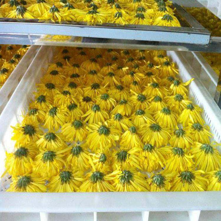 厂家定制中药材烘干机大黄丹参人参中药干燥设备箱式烘干机,清洗/食品/商业设备,其他食品加工设备,淘宝优惠券,粉丝福利购,淘宝优惠卷