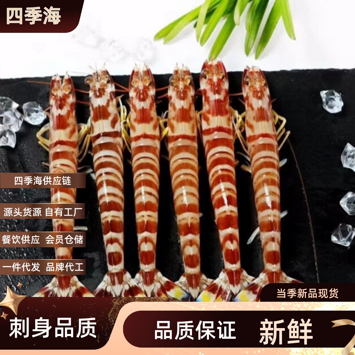斑节虾琵琶虾红绿虾皮皮虾海捕