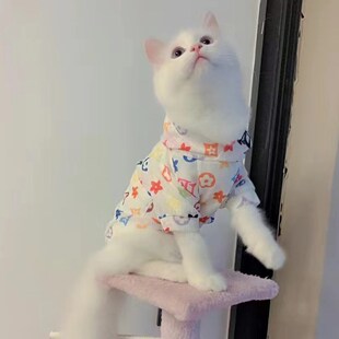 猫咪夏天衣服防掉毛防晒背心夏季 薄款 英短银渐层布偶猫小狗狗夏装