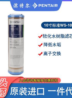 滨特尔10寸软化树脂进口WS-10滤芯去除水垢离子交换树脂通用滤芯