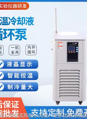 低温冷却液循环泵DLSB-5L 10L 20L低温冷却循环泵低温槽厂家供应