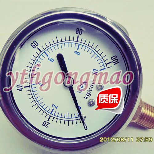 ,耐压力表,表,表牙(
