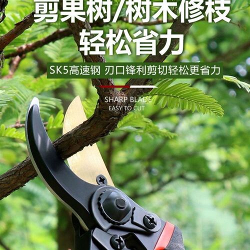 钢修枝剪省力家用果树园林粗枝剪嫁接艺园艺剪工具