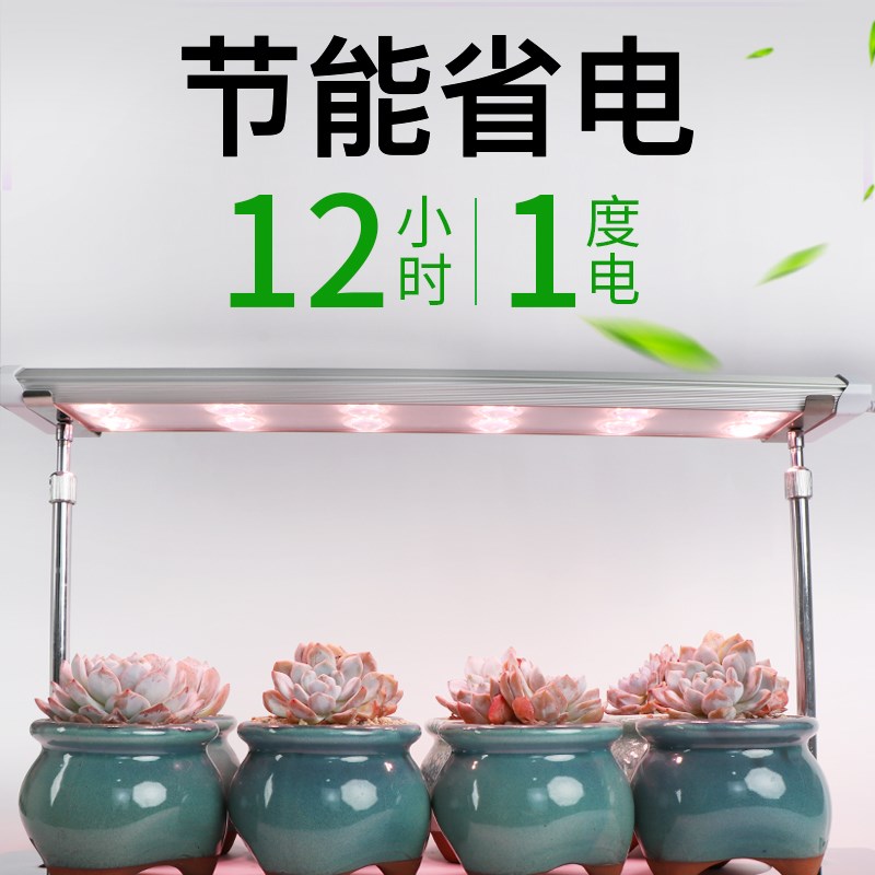 红太氧全光谱多肉补光灯仿太阳上色室内家用透镜灯管植物灯生长灯