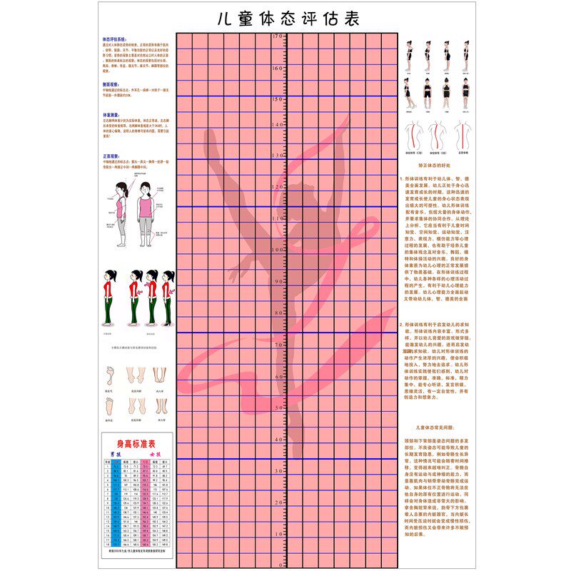 儿童体态评估表 挂式 男孩女孩身测量图壁画壁纸