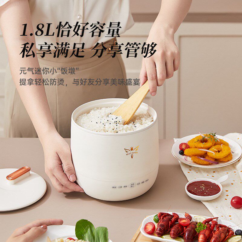 家用煲汤电饭煲智能煮粥电饭锅养生小型一人迷你便携电煮锅