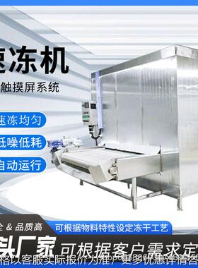 大型速冻设备厂家果粒橙芒果草莓全自动速冷冻机鲜玉米速冻生产线