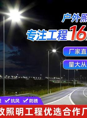 新农村6米市电路灯22V高低杆双臂带地笼市政项目户外防水LED灯具
