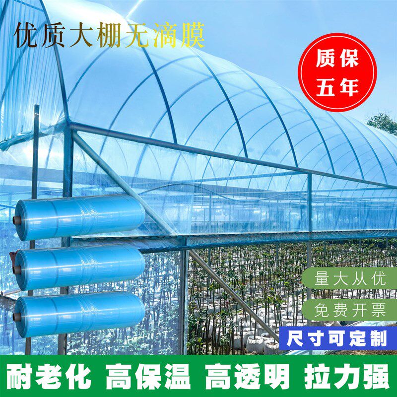 抗老化消雾膜滴膜加厚大棚膜长寿塑料膜养殖膜