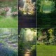 影楼儿童室内影棚油画森林拍照背景纸梦幻童话春天森林写真喷绘布