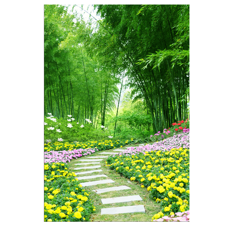 定制竹林竹子富贵竹图案窗帘卷帘画半遮光拉珠升降卷轴办公室卧室