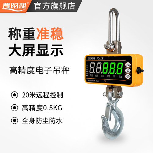晋阳湖便携式电子吊钩秤迷你型吊磅g2吨T高精度挂钩秤