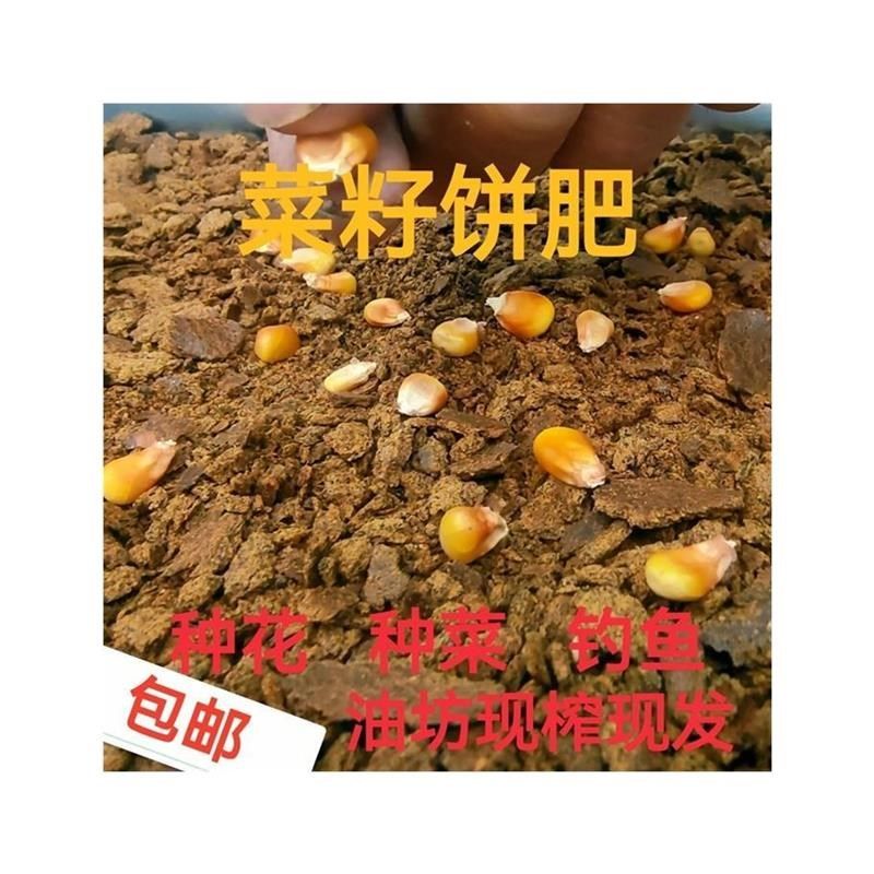 新鲜菜籽油枯菜籽枯饼肥料菜籽饼肥养种草肥钓鱼打窝诱鱼饵
