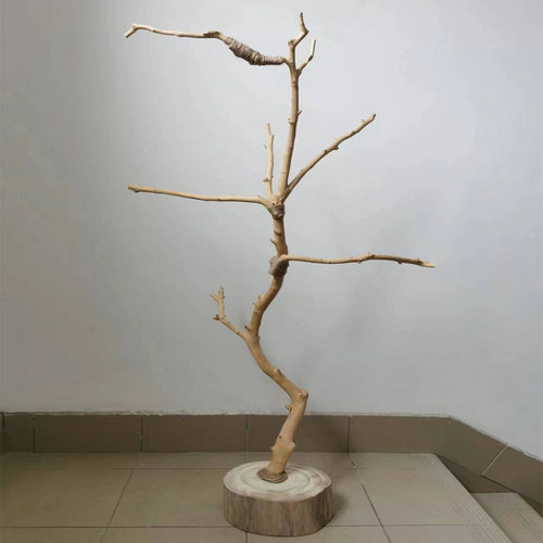 干树枝树杈鸟架造型实木落地灯架干枯枝艺术龙骨吊顶衣架装饰