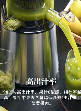 德国西兰普榨汁机家商用大容量汁渣分离炸果原汁摆摊