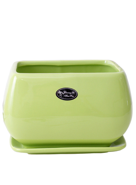 创意长方形花盆陶瓷北欧简约客厅阳台绿萝蝴蝶兰花盆红黄色带托盘