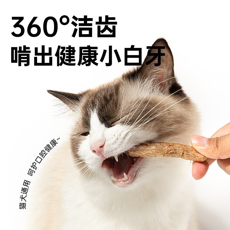 味当家鸡脖冻干猫零食磨牙棒鸡脖子洁齿骨成幼猫咪零食洁牙鸡肉,宠物/宠物食品及用品,猫冻干零食,淘宝优惠券,粉丝福利购,淘宝优惠卷